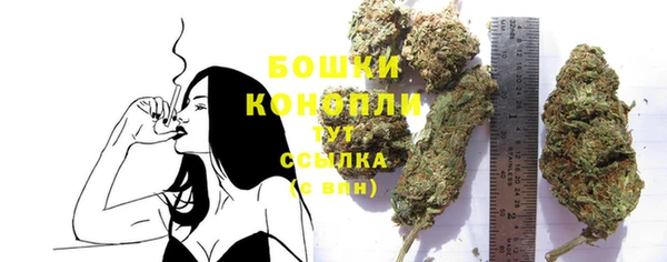 ПСИЛОЦИБИНОВЫЕ ГРИБЫ Верея