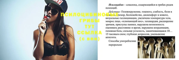 mix Верхний Тагил