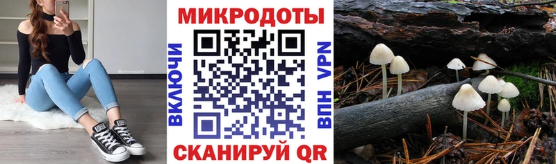 сколько стоит  Каменка  Псилоцибиновые грибы мухоморы 